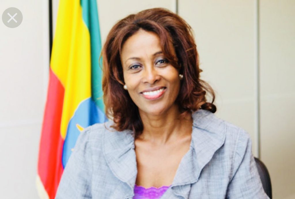 Ethiopie : Meaza Ashenafi, première femme nommée présidente de la Cour suprême fédérale