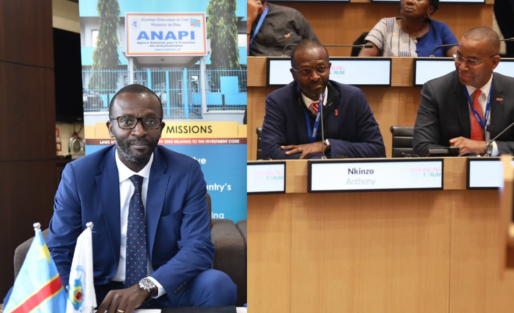 Anthony Nkinzo: “From 2003 to 2020, ANAPI has validated 1,163 projects, representing an investment cost of US$58 billion”.